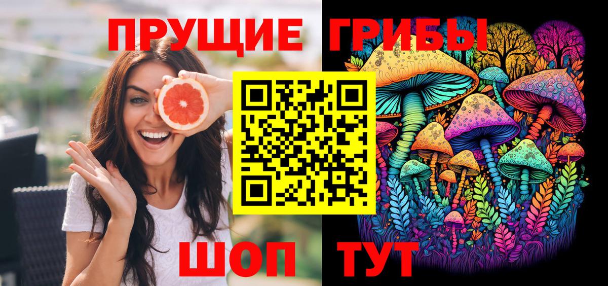 Сертолово  купить наркотик  Вход с VPN  Псилоцибиновые грибы Psilocybe 