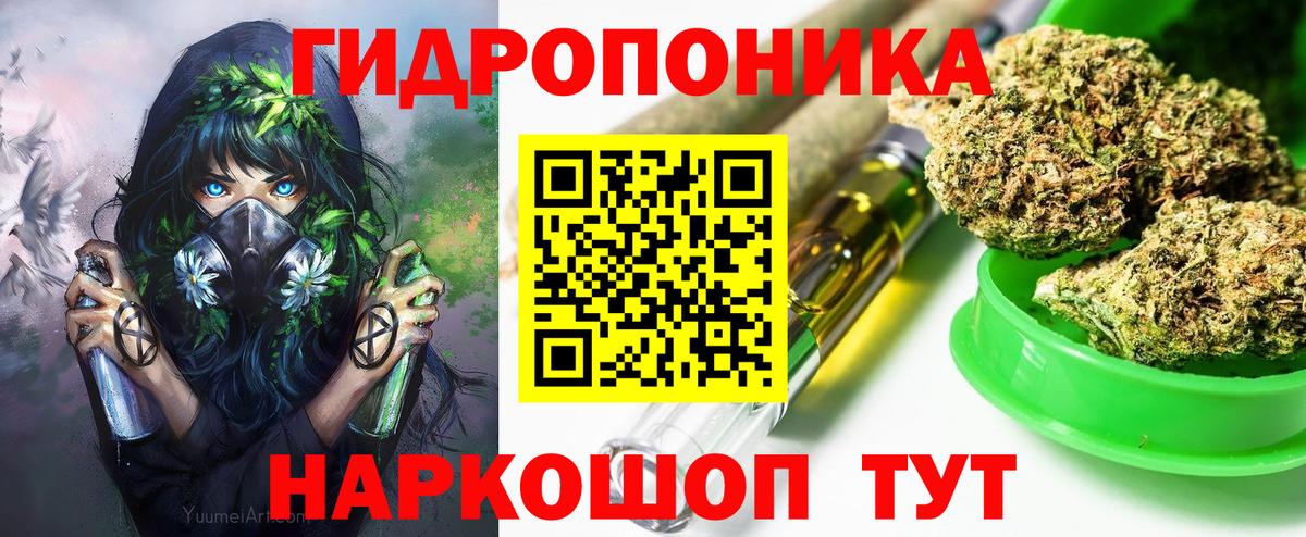 Шишки марихуана план Сертолово